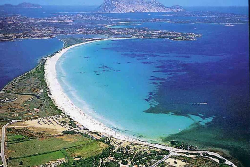 Villa Molly San Teodoro (Sardinia) Exterior foto